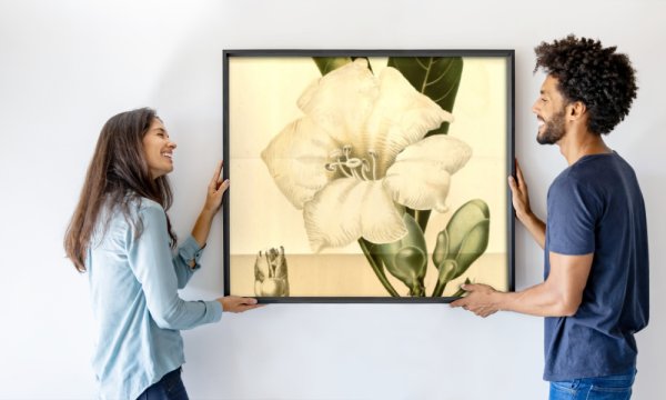 Annales Musei botanici lugduno-batavi