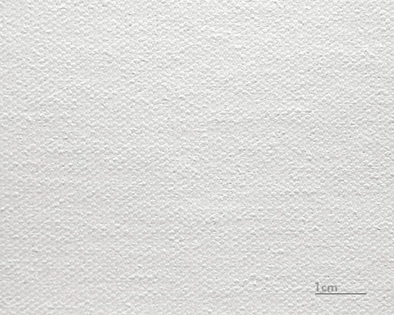 Leinwand Raphael (Matt)