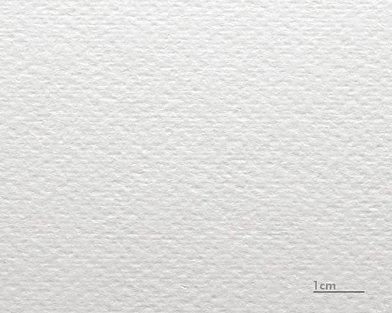 Aquarellkarton Renoir