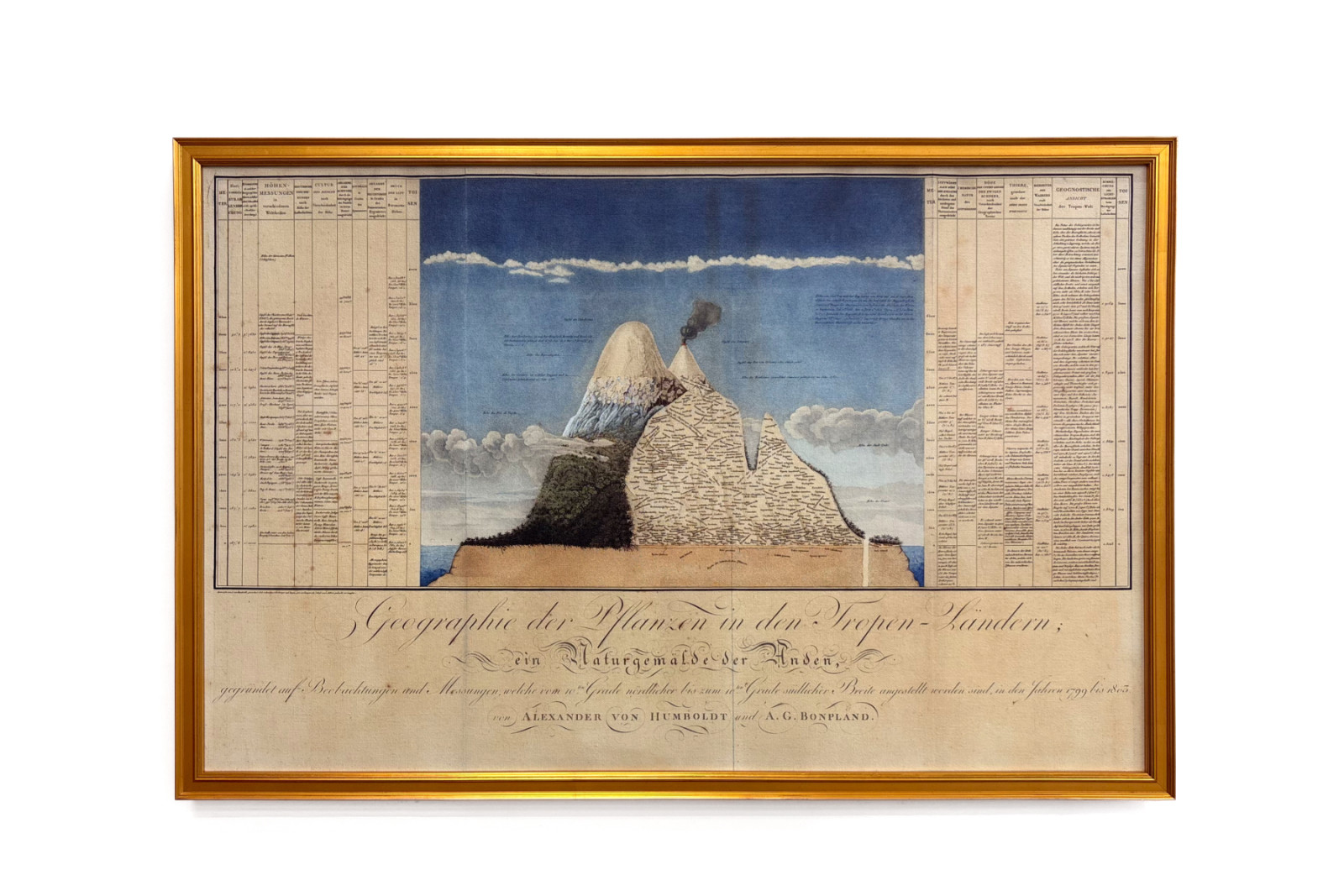 Geografie der Pflanzen in tropischen Ländern, eine Studie der Anden, gezeichnet von Schoenberger und Turpin, gedruckt von Langlois, Paris - Baron Friedrich Alexander von Humboldt