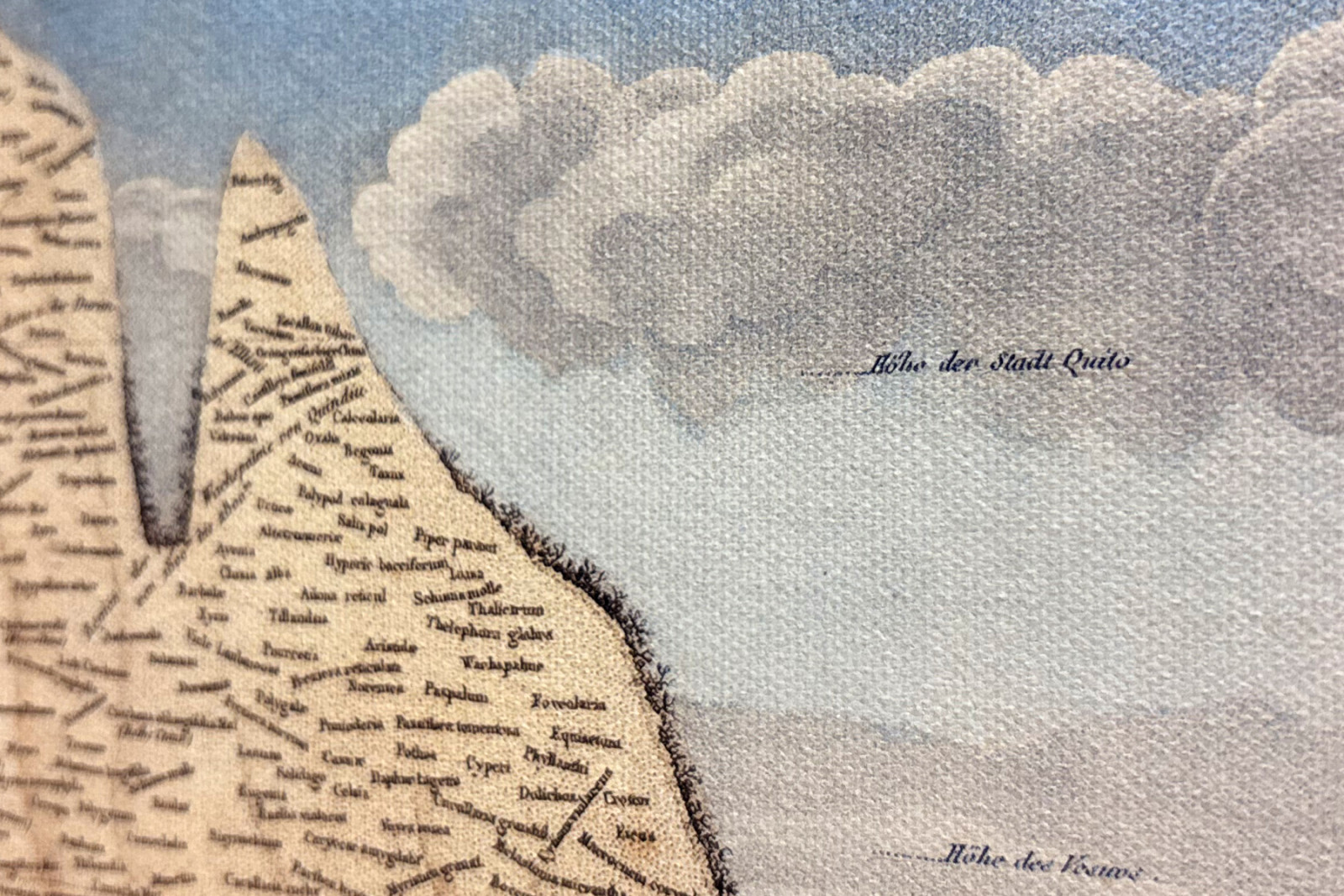 Geografie der Pflanzen in tropischen Ländern, eine Studie der Anden, gezeichnet von Schoenberger und Turpin, gedruckt von Langlois, Paris - Baron Friedrich Alexander von Humboldt