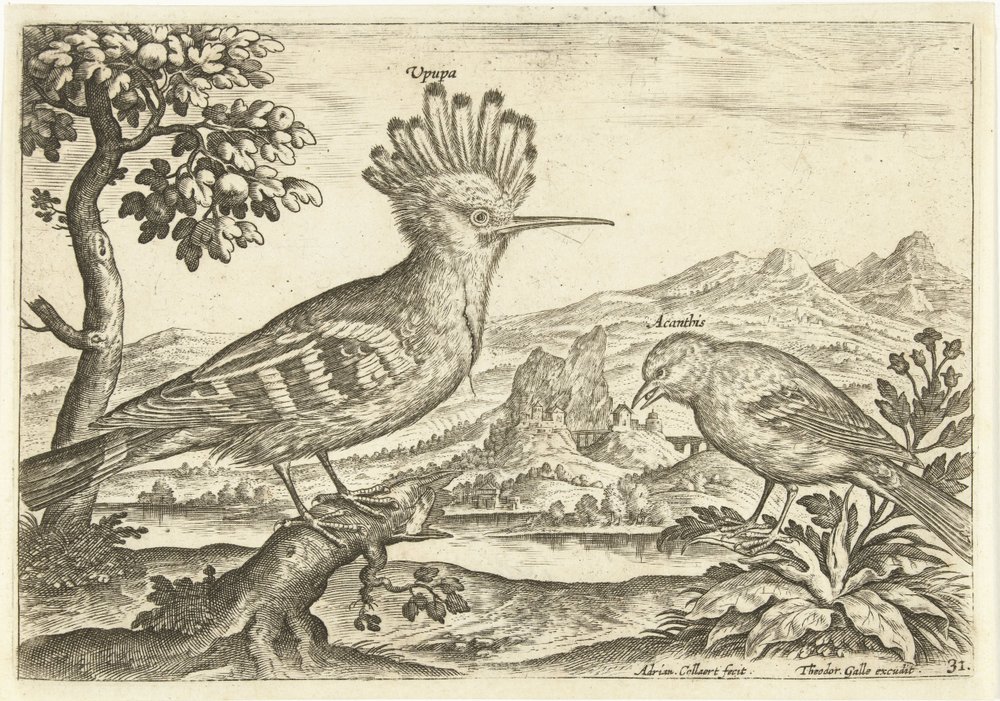 Zwei Vögel in einer Landschaft von Adriaen Collaert