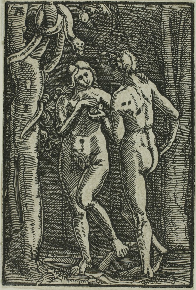 Der Sündenfall, aus Der Fall und die Erlösung des Menschen von Albrecht Altdorfer