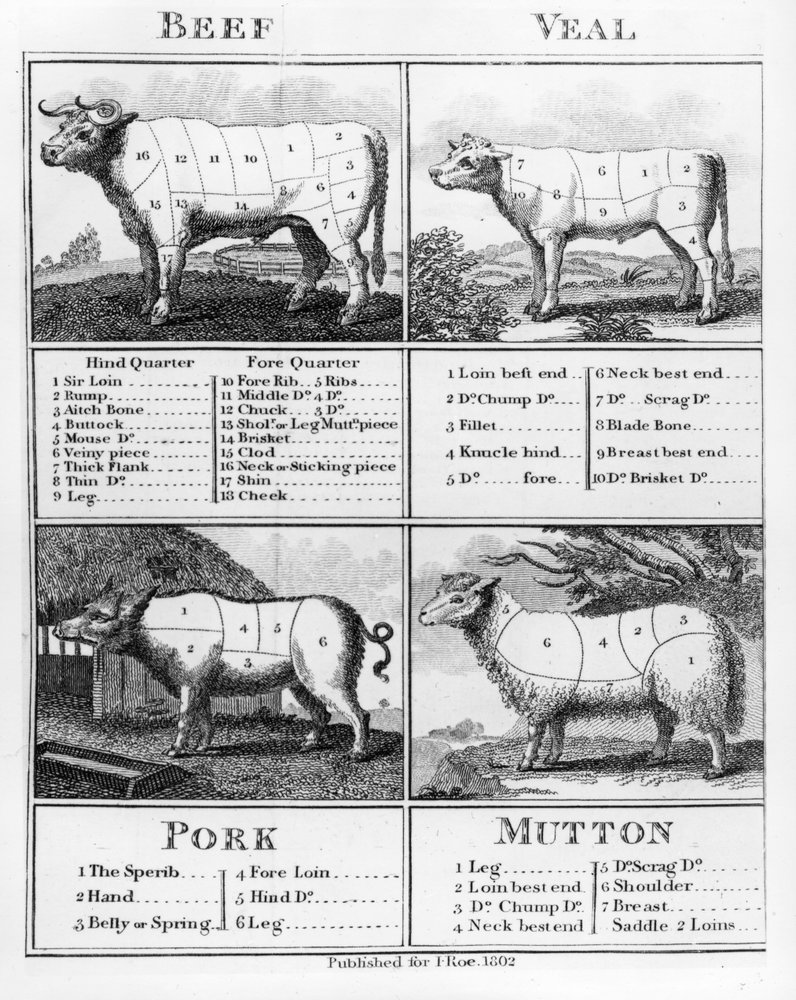 Rind-, Kalb-, Schweine- und Hammelfleischstücke, 1802 von English School