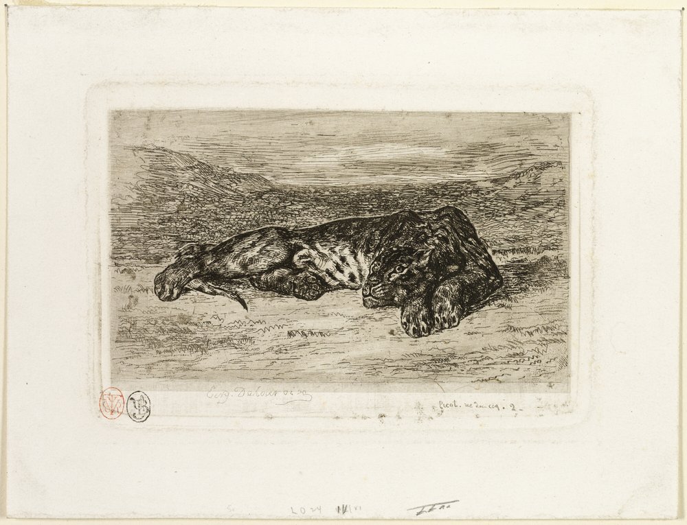 Tiger ruht in der Wüste von Eugène Delacroix