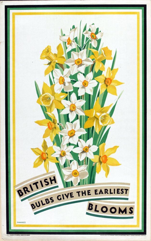 Britische Zwiebeln bringen die frühesten Blüten, aus der Serie 