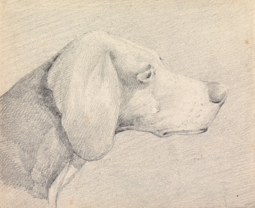 Kopf eines Foxhounds im Profil nach rechts von Henry Thomas Alken