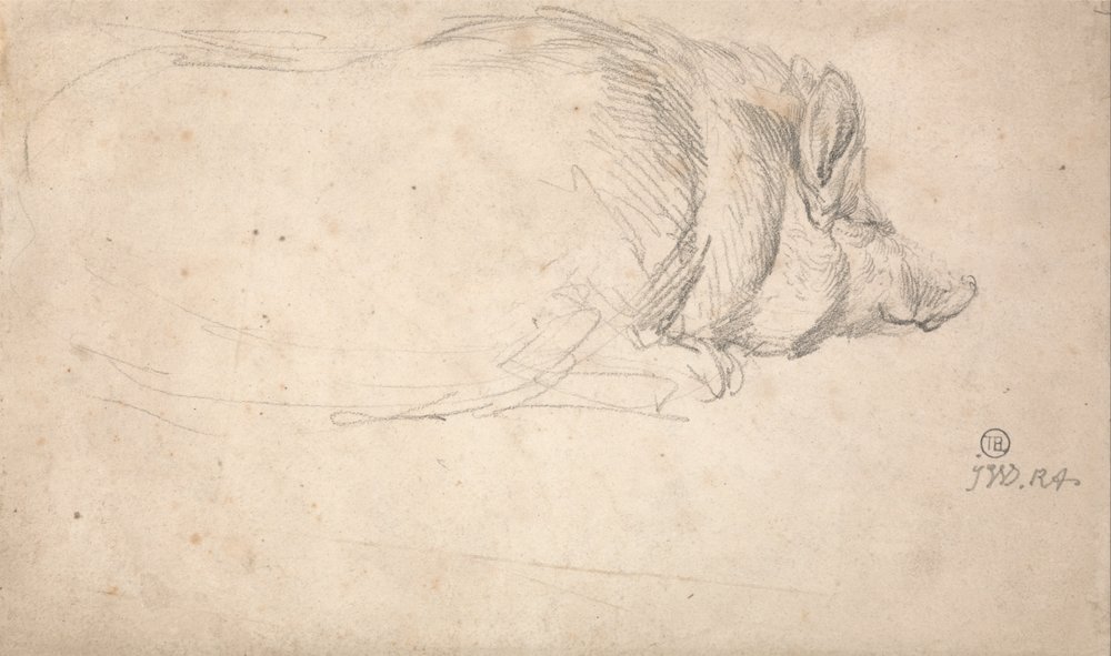 Ein schlafendes Schwein von James Ward