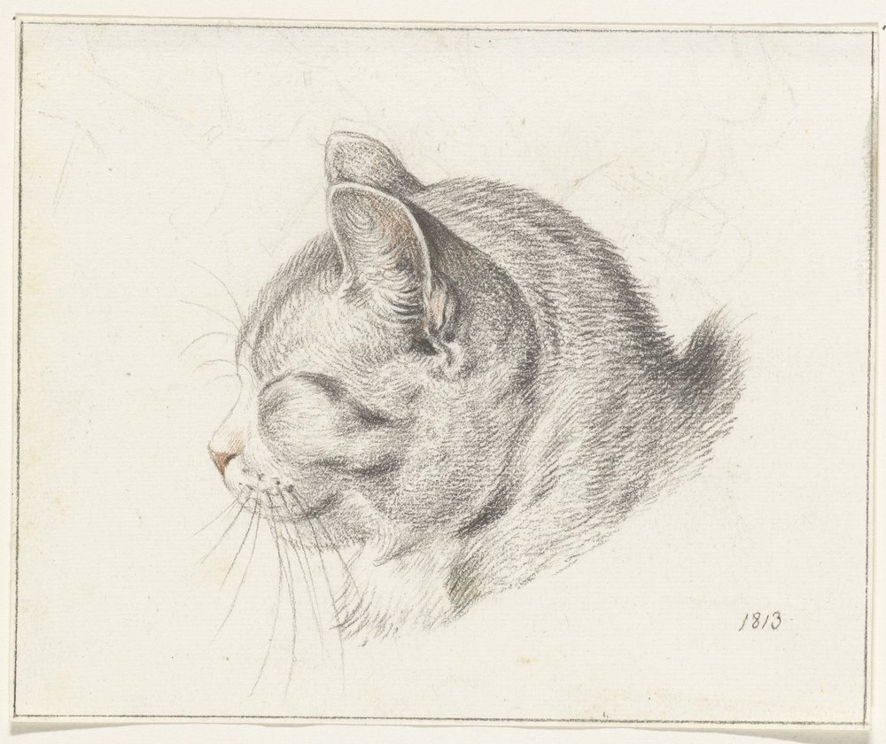 Kopf einer Katze, nach links von Jean Bernard