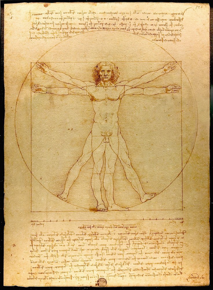 Vitruv, Luc Viatour von Leonardo da Vinci