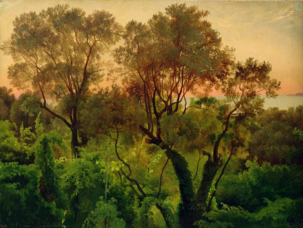 Hang mit Olivenbäumen von Louis Gurlitt
