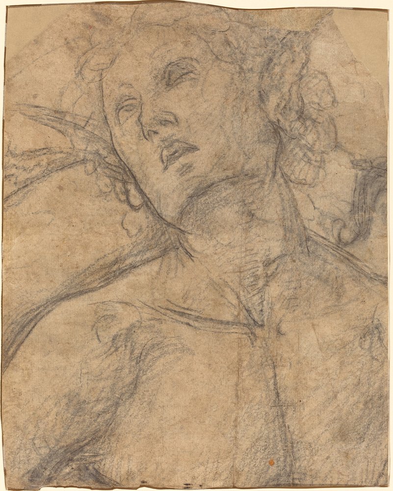 Büste eines nach oben blickenden Jünglings (recto) von Luca Signorelli