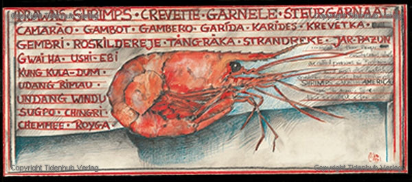 Prawns von Ole West