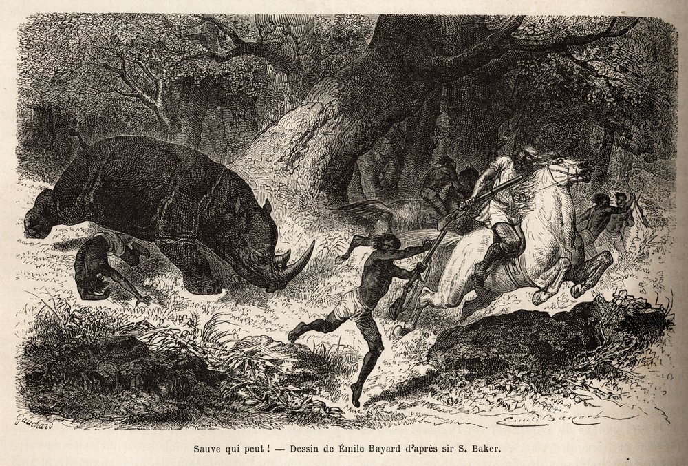 Der Angriff des Nashorns, das die Jäger umwirft und fängt, während der Suche nach dem Autor und seinen Führern. Gravur zur Illustration der Erforschung der abessinischen Nebenflüsse des Nils, von Sir Samuel W.Baker, 1861-62, veröffentlicht in "Le tour du m von Unknown artist