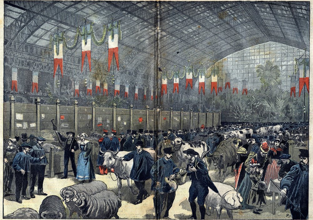 Der allgemeine Landwirtschaftswettbewerb von Paris - 14. März von Unknown artist