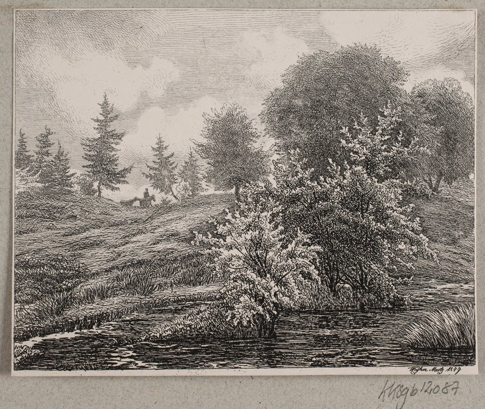 Hügel an einem Moor von Vilhelm Kyhn