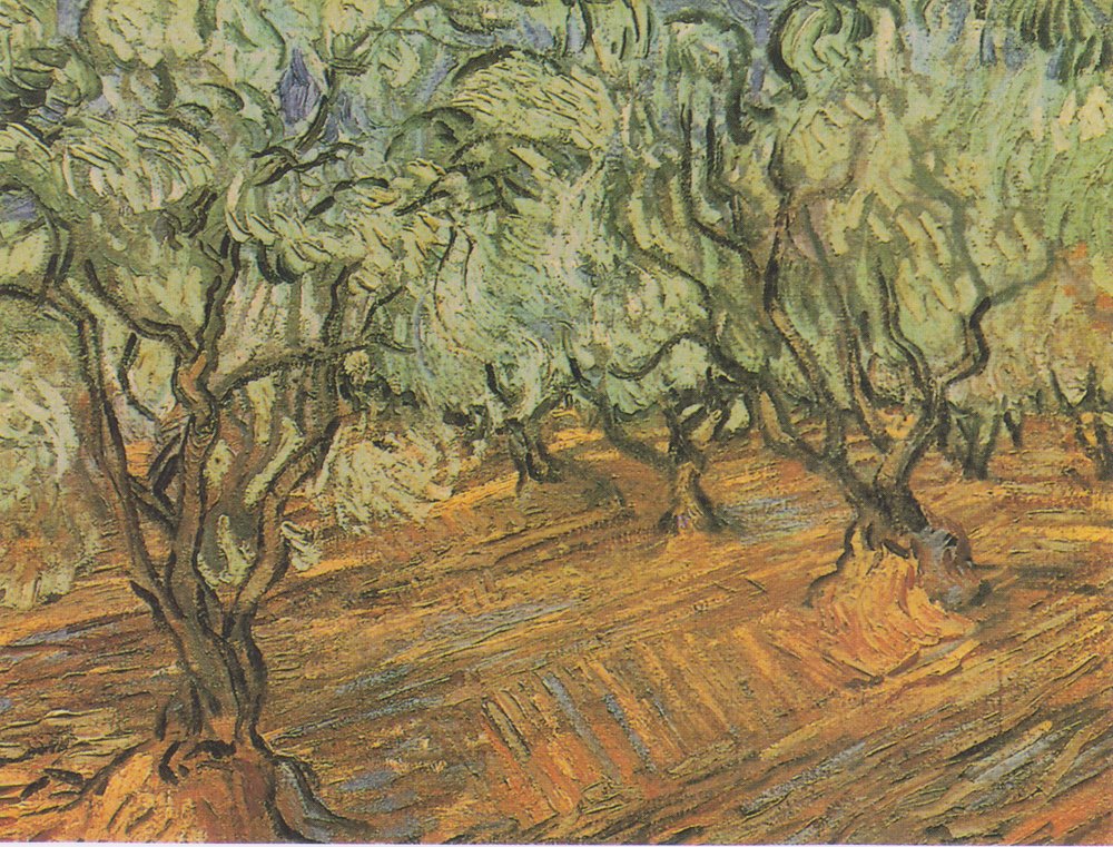 Olivenhain mit blauem Himmel von Vincent van Gogh