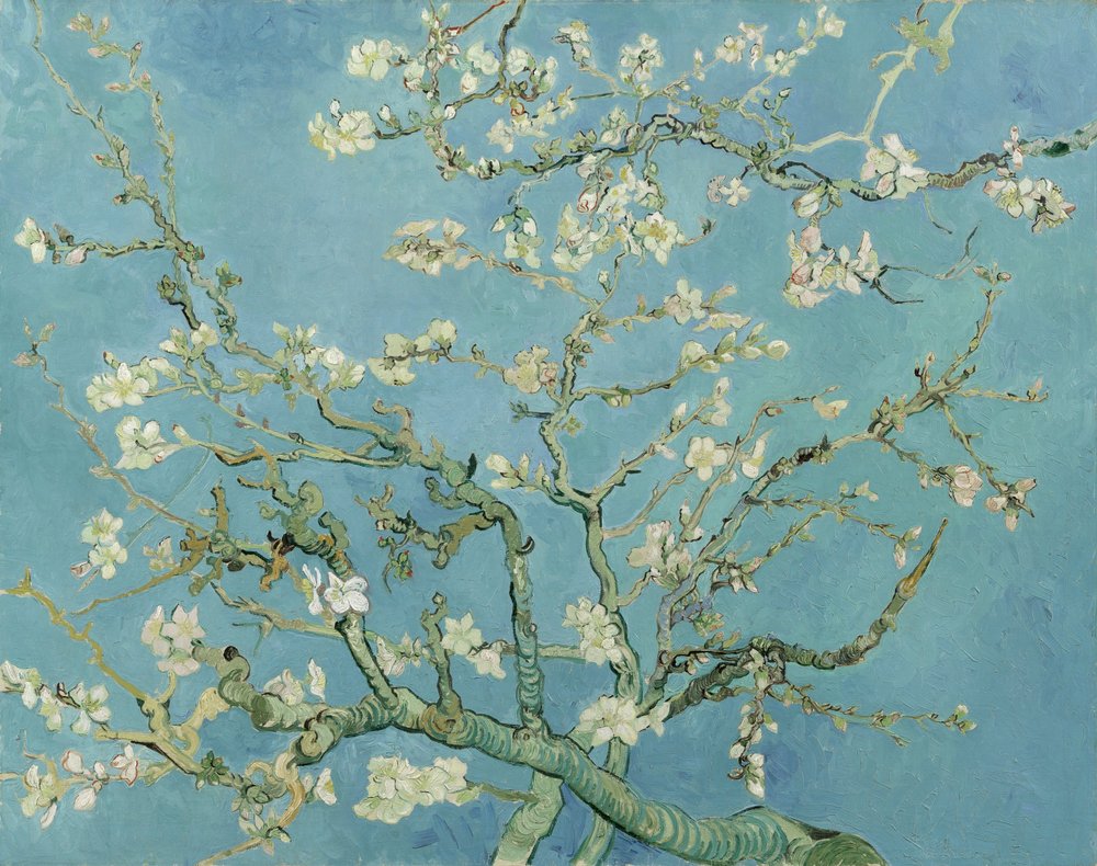Van Gogh Leinwandbild „Mandelblüte“ – Gerahmter Kunstdruck Für Wohnzimmer, Büro Oder Geschenk