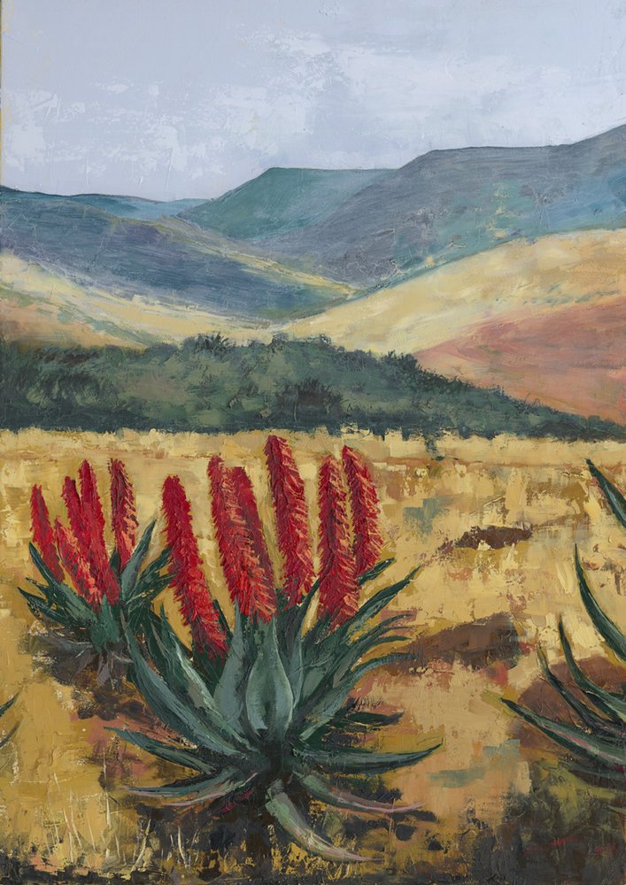 Rote Aloe-Hügel von Alex Cornell