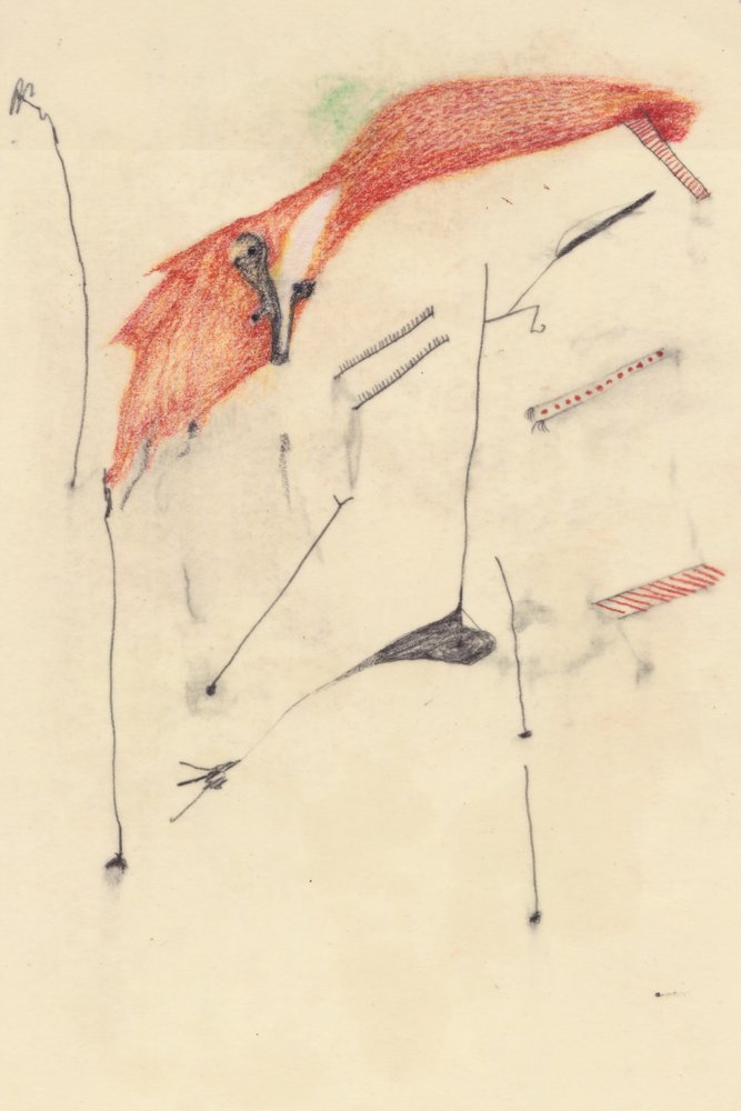 Schlau wie ein Fuchs von Alexander Adiels