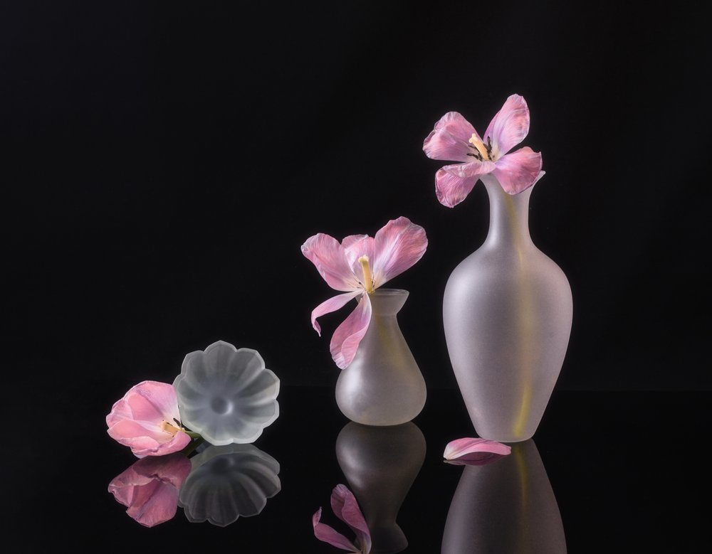 Verblassende Rosa Tulpen von Alice Sheng