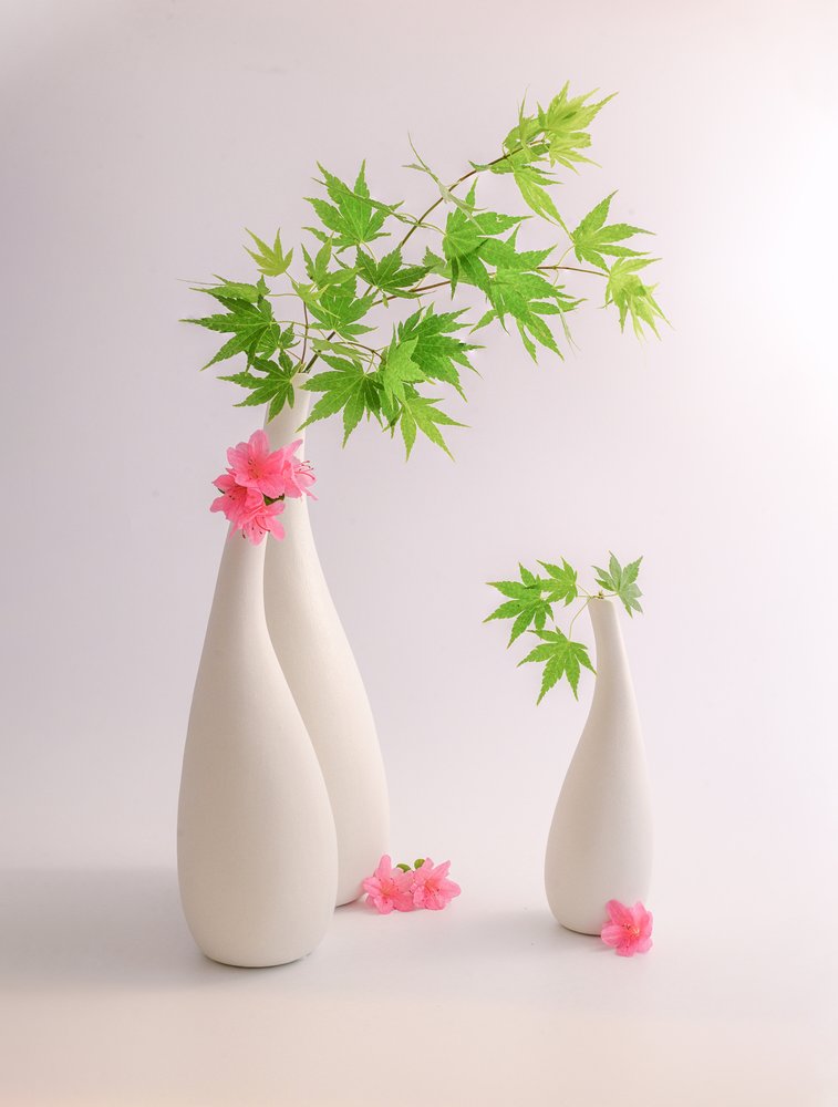 Grüne Blätter Rosa Blumen von Alice Sheng