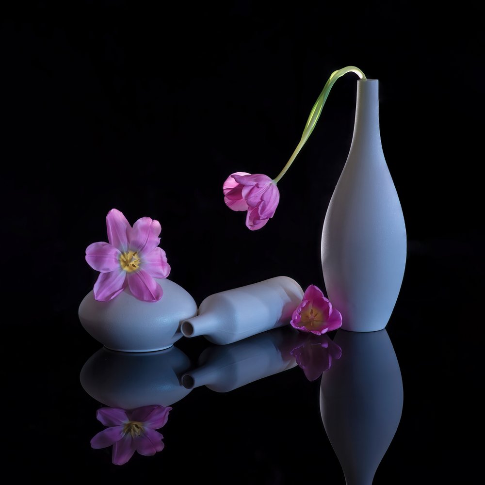 Reflektierte Lila Tulpen von Alice Sheng