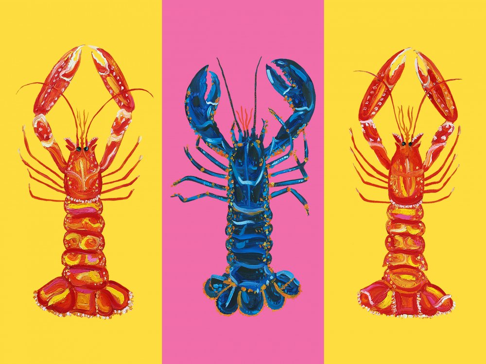 Hummer Langoustinen Pop Art 2 von Alice Straker