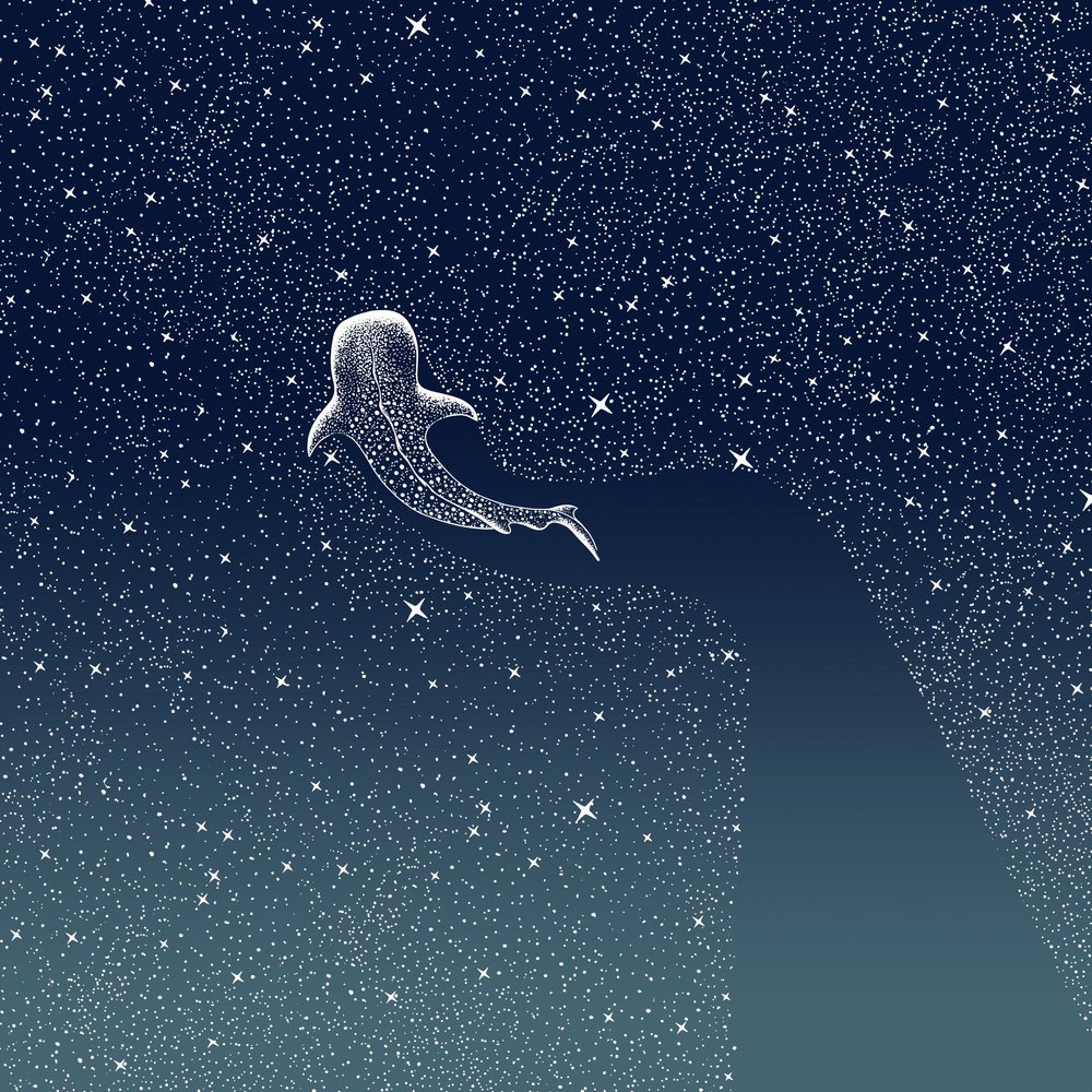 Walhai-Galaxie von Alirıza ÇAKIR