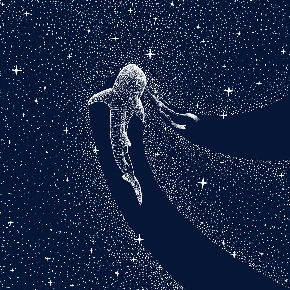 Walhai-Galaxie-Reise von Alirıza ÇAKIR