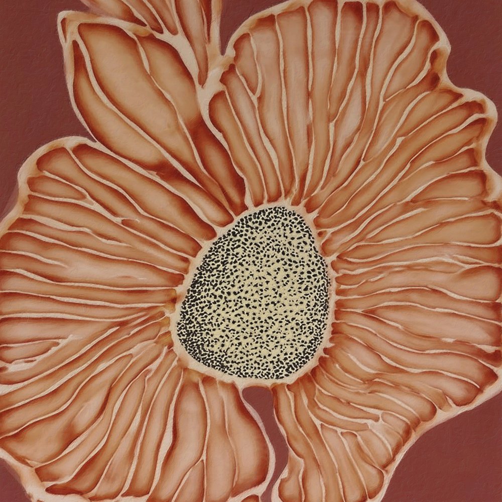Warme botanische Blüte von Alma