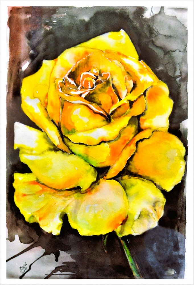 Vibrante gelbe Rose von Anda Bieza