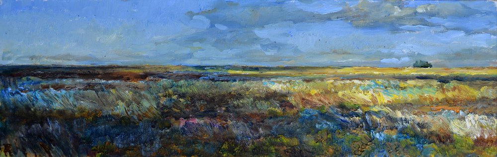 Weite Prärie-Landschaft von Andrii Kutsachenko