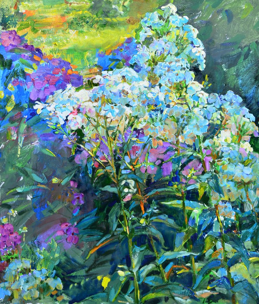 Lebendige Garten-Phlox von Andrii Kutsachenko