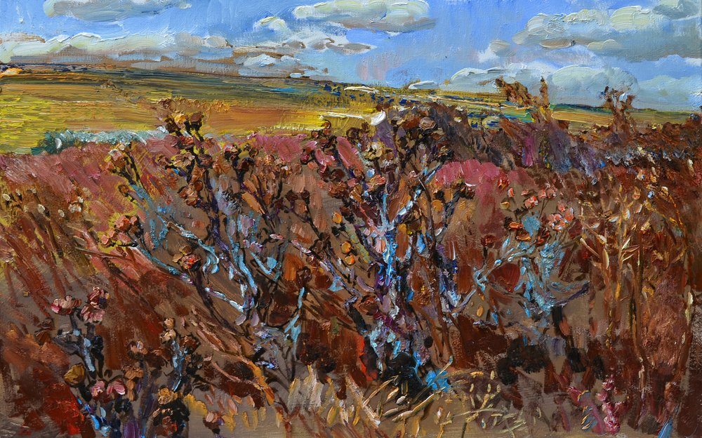 Wildes Herbstfeld von Andrii Kutsachenko