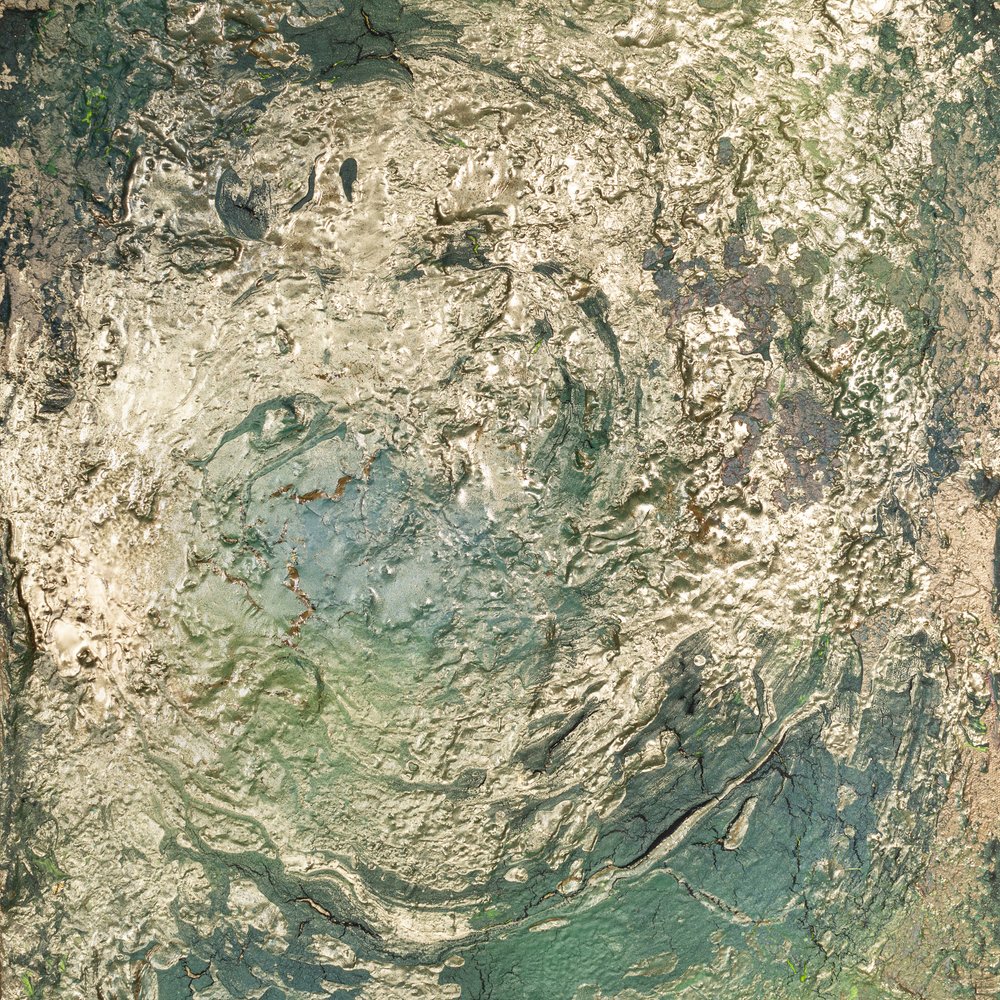 Goldener grüner Fluss von Anete Purina-Purite