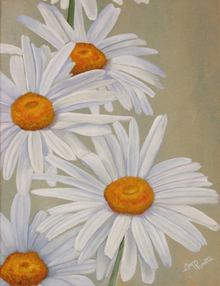 Fröhliche weiße Gänseblümchen von Angeles M. Pomata