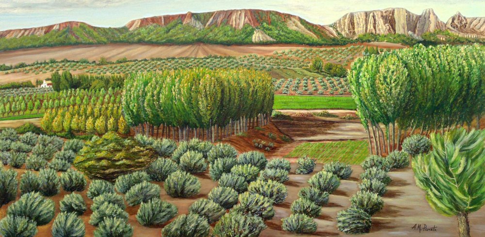Grünes Tal Ackerland von Angeles M. Pomata