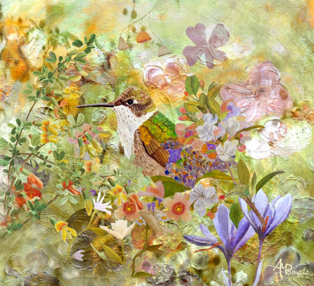 Kolibri Gartenblumen von Angeles M. Pomata