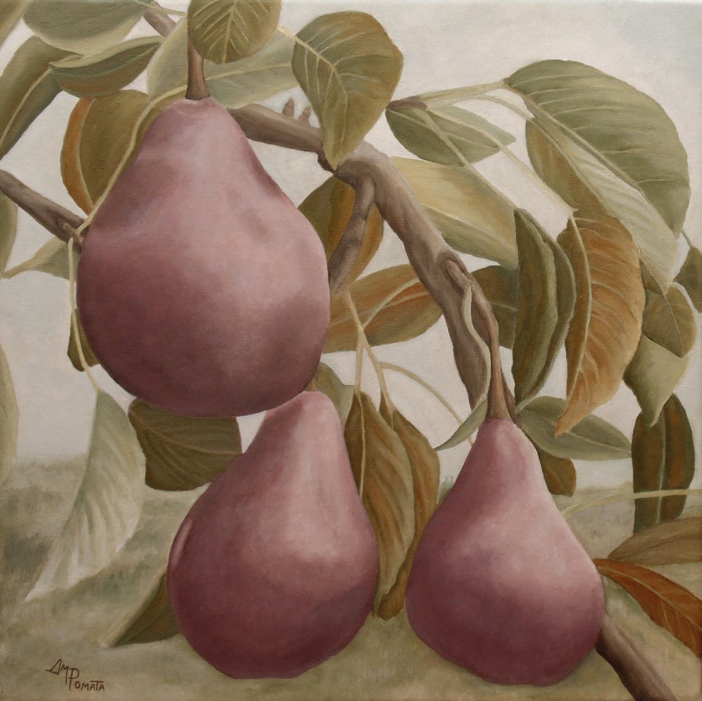 Lila Birnen auf Ast von Angeles M. Pomata