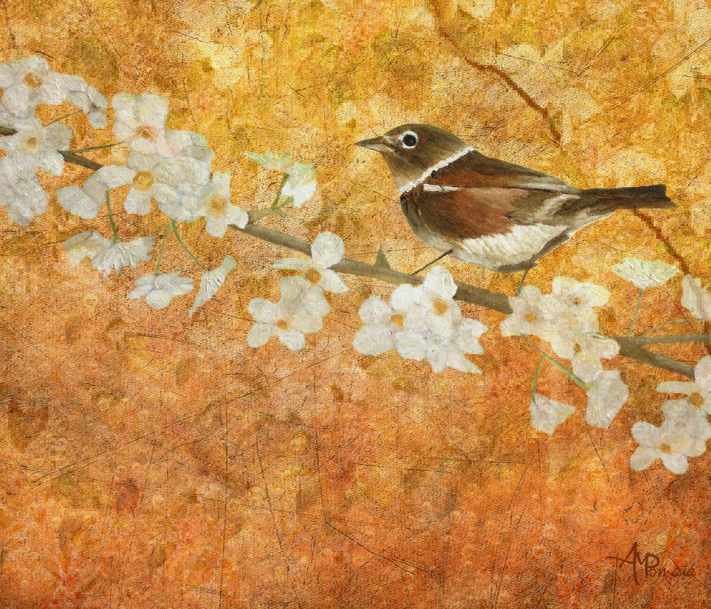 Frühlingsvogel und Blüte von Angeles M. Pomata