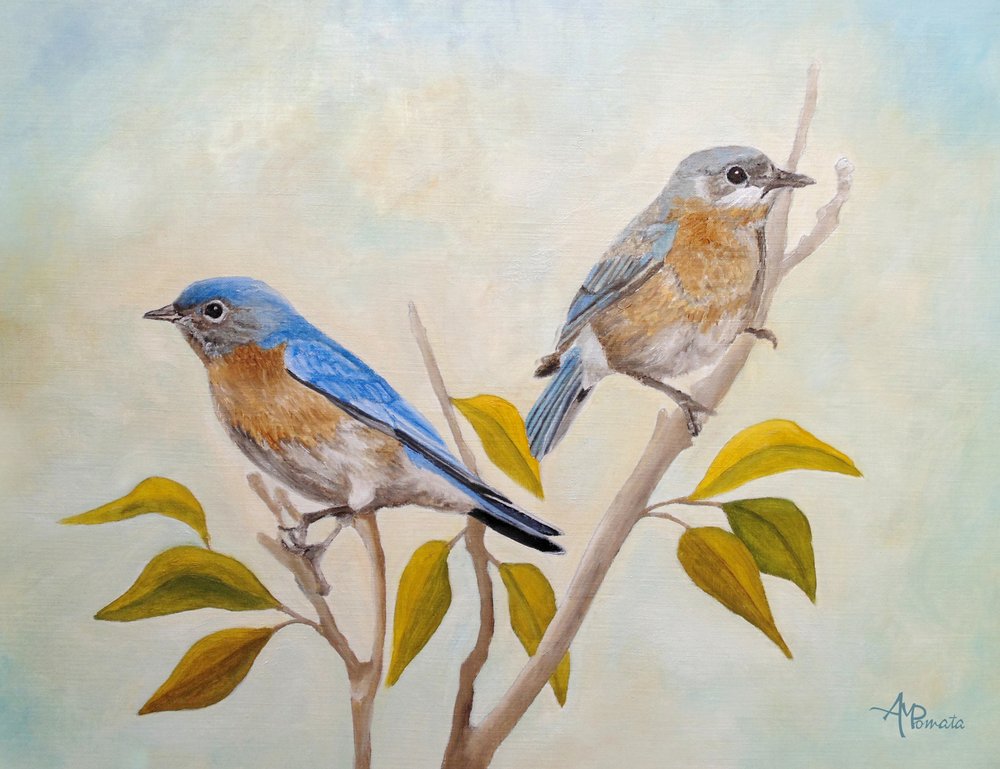 Zwei Blaue Vögel auf Ast von Angeles M. Pomata