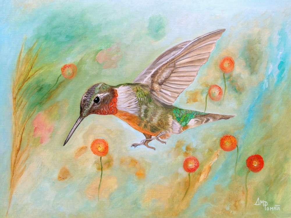 Lebendiger Kolibriflug von Angeles M. Pomata