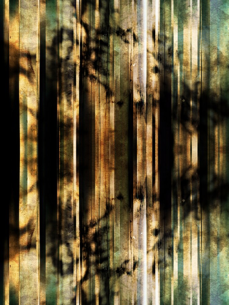 Abstrakte Waldschatten von Angelo Cerantola