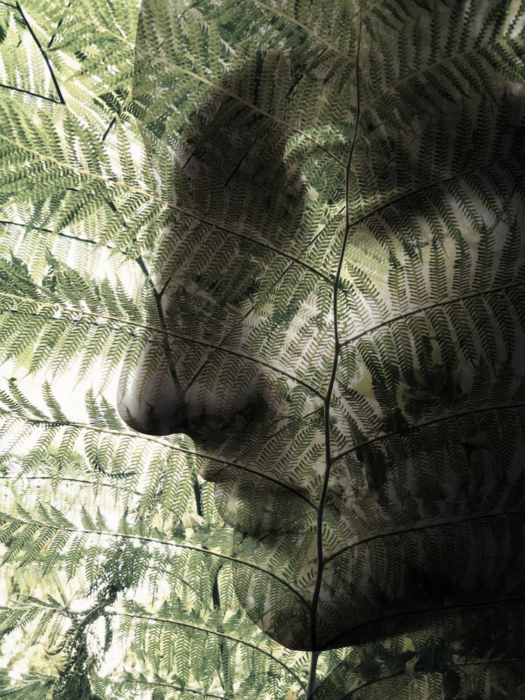 Botanisches Gesichtsprofil von Angelo Cerantola