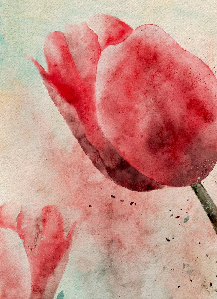 Lebendige Aquarell-Tulpen von Ankie Kooi
