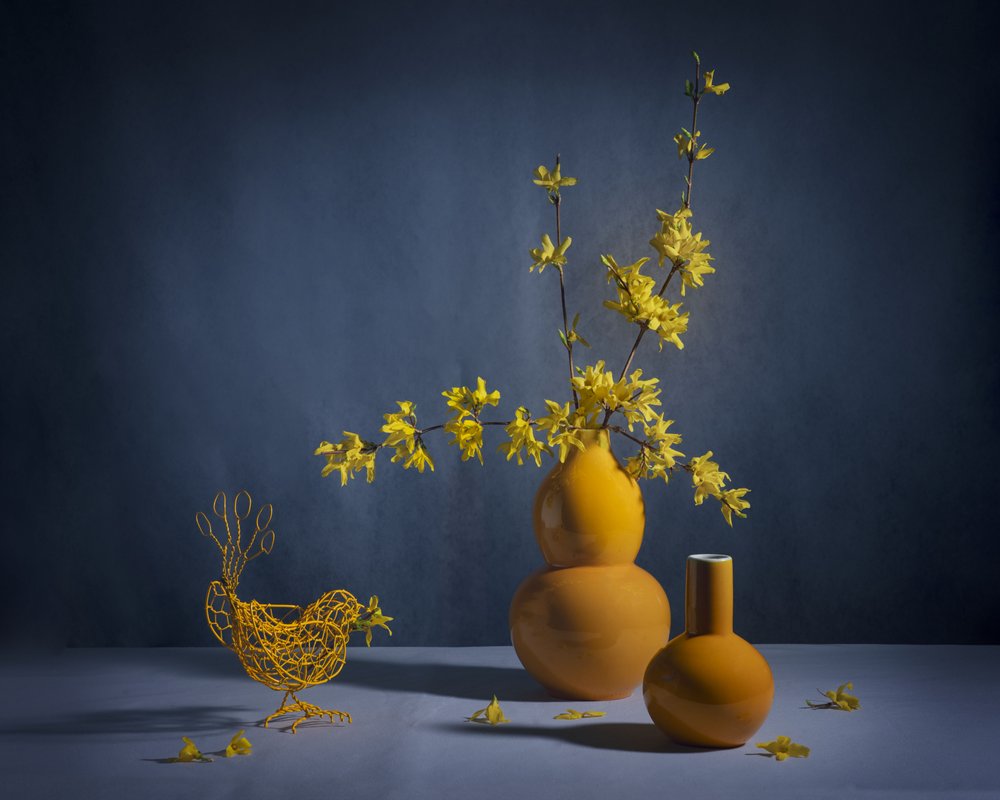 Goldenes Forsythien-Stillleben von Anna Qu