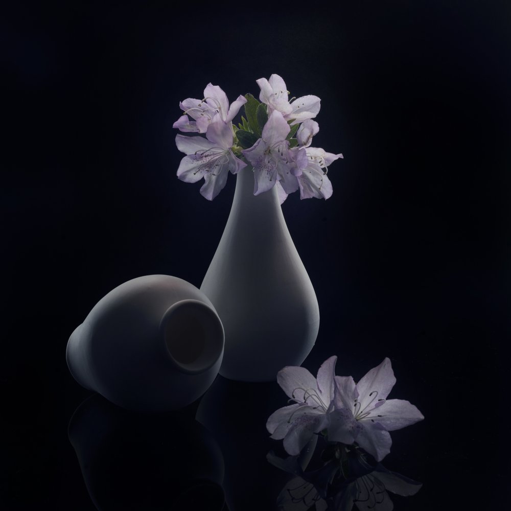 Stimmungsvolle Blumen und Vasen von Anna Qu
