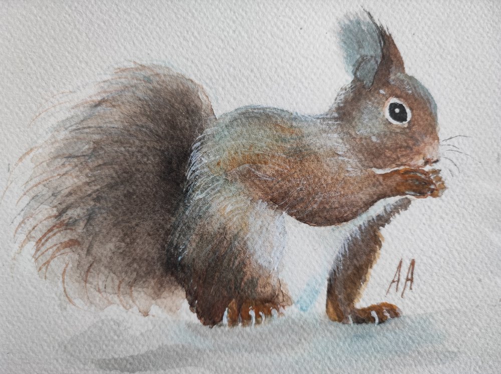 Charmantes Rotes Eichhörnchen von Annette Armitage