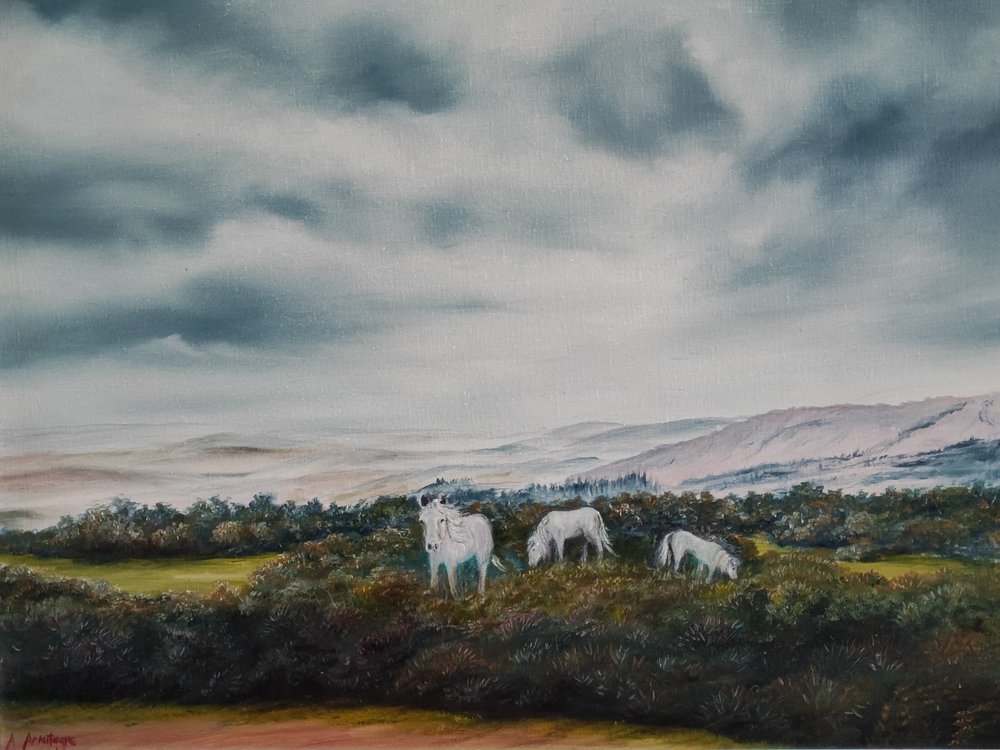 Gelassene Moorland-Ponys von Annette Armitage